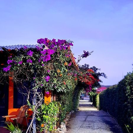 Cabanas San Miguel Alto Boquete Екстер'єр фото