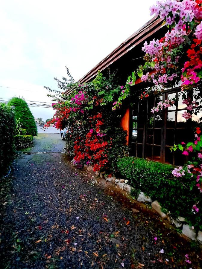 Cabanas San Miguel Alto Boquete Екстер'єр фото